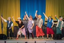 Faschingssitzung 2019