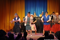 Faschingssitzung 2019