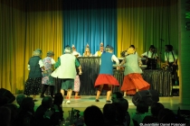 Faschingssitzung 2019