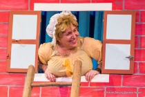 Faschingssitzung 2019