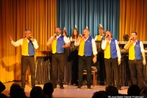 Faschingssitzung 2019