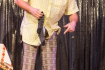 Faschingssitzung 2019