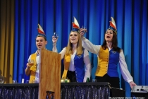 Faschingssitzung 2019