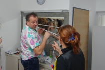 Hinter der Bühne - Lei Blau